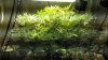 2011-11-04_16-43-02_531.jpg