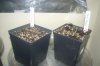 11.6.11-2.jpg