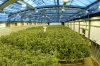 growingfacility%20sized-thumb-648x434.jpg