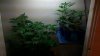 10232011 034_cleaned.jpg 10232011 034_cleaned.jpg