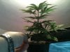 10232011 012_cleaned.jpg