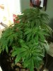 10302011 010_cleaned.jpg