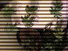 photo(1).jpg