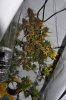 DSC_0640.jpg