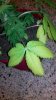 2011-11-11_16-22-15_371.jpg