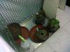 IMG00410-20111111-2102.jpg
