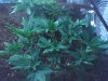 07-20-08_1657.jpg