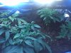 07-20-08_1653.jpg