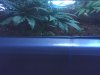 07-20-08_1655.jpg