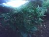 07-20-08_1658.jpg