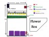 Flower.jpg