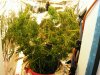 2008_07200013.JPG