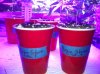 bs seedling.JPG