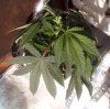 20111113_104949.jpg