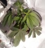 20111113_105013.jpg