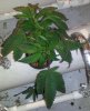 20111113_105039.jpg