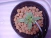 2011-11-13 23.07.17.jpg