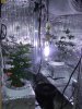 DSCF3123.jpg DSCF3123.jpg