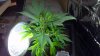 2011-11-16_19-22-04_146.jpg