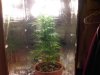 IMG-20111116-00027.jpg