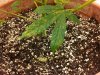 IMG-20111116-00026.jpg
