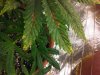 IMG-20111116-00024.jpg