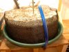 10 gal mesh pot.jpg