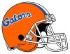 gator.jpg