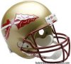 noles.jpg