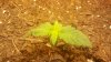 2011-11-18_13-09-13_298.jpg