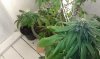 IMAG0342.jpg