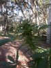 100_1796.jpg