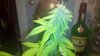 2011-11-20_02-33-42_996.jpg