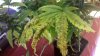 2011-11-20_21-48-52_10.jpg