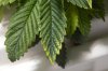 20111120-DSC_0391.jpg