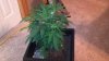 2011-11-20_21-45-34_485.jpg