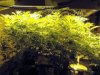 5-6-11 021.jpg