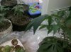 2011-11-21_05-39-07_845.jpg