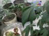 2011-11-21_05-40-07_233.jpg