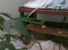 2011-11-21_05-39-17_819.jpg