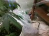2011-11-21_05-39-21_959.jpg