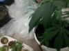 2011-11-21_05-39-12_838.jpg