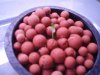Purp sprout.jpg