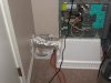 IMG_3177.jpg