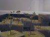 plants 014.jpg