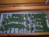 bagseed cut 001.jpg