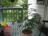 Picture 031.jpg