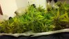 2011-11-11_18-23-52_117.jpg