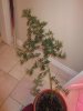 IMG_0820.jpg IMG_0820.jpg
