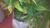 2011-11-22_15-08-19_349.jpg